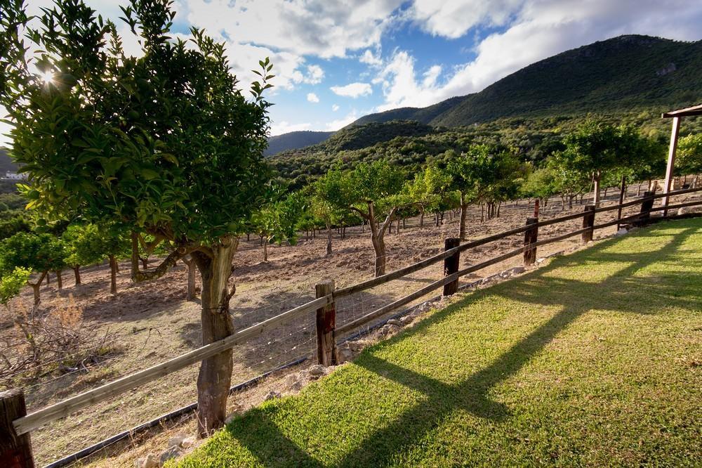 البوسكي Finca El Huertezuelo المظهر الخارجي الصورة
